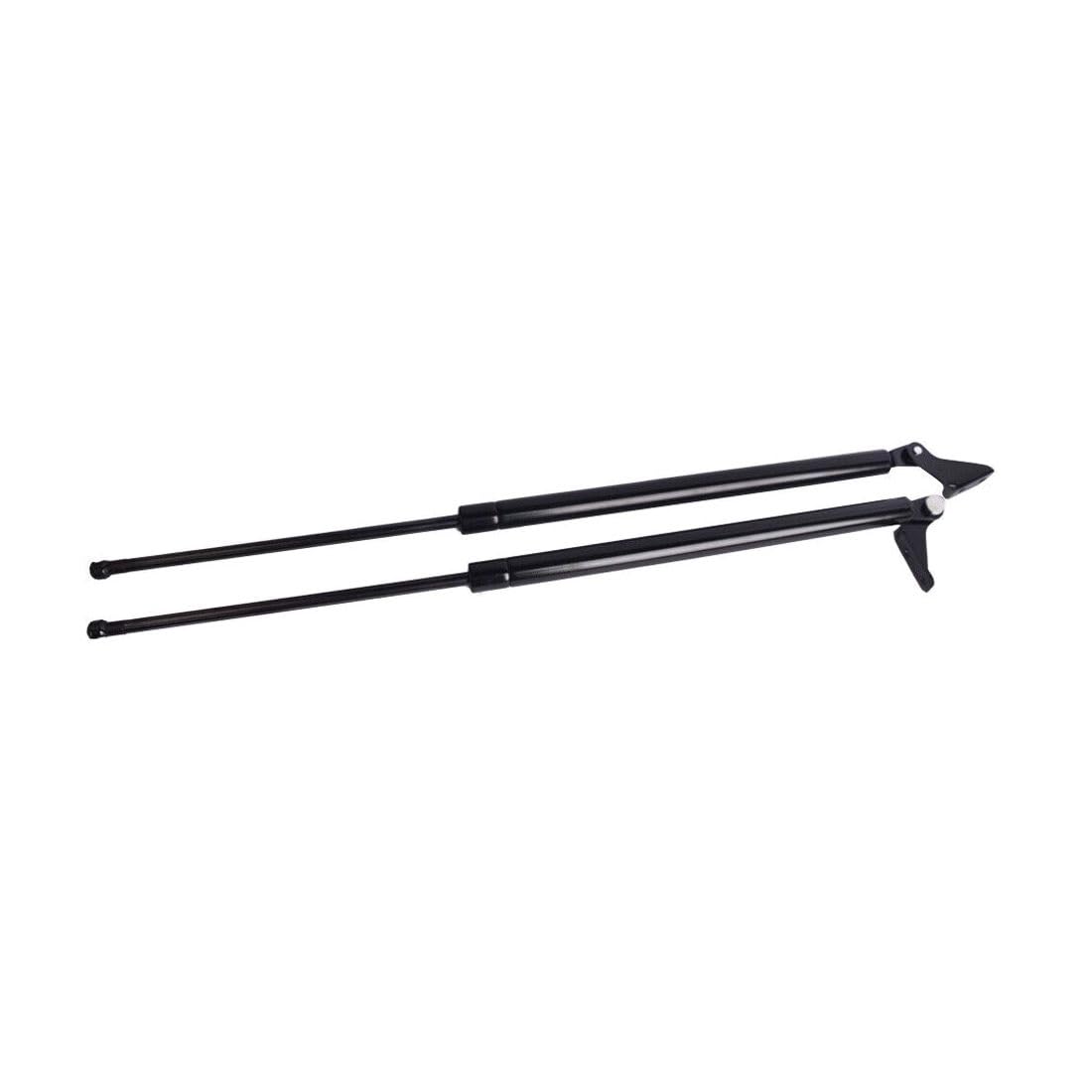 Tailgate Strut X192