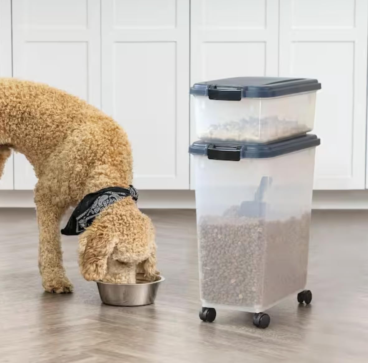 Airtight Pet Food Storage Combo with Scoop S607