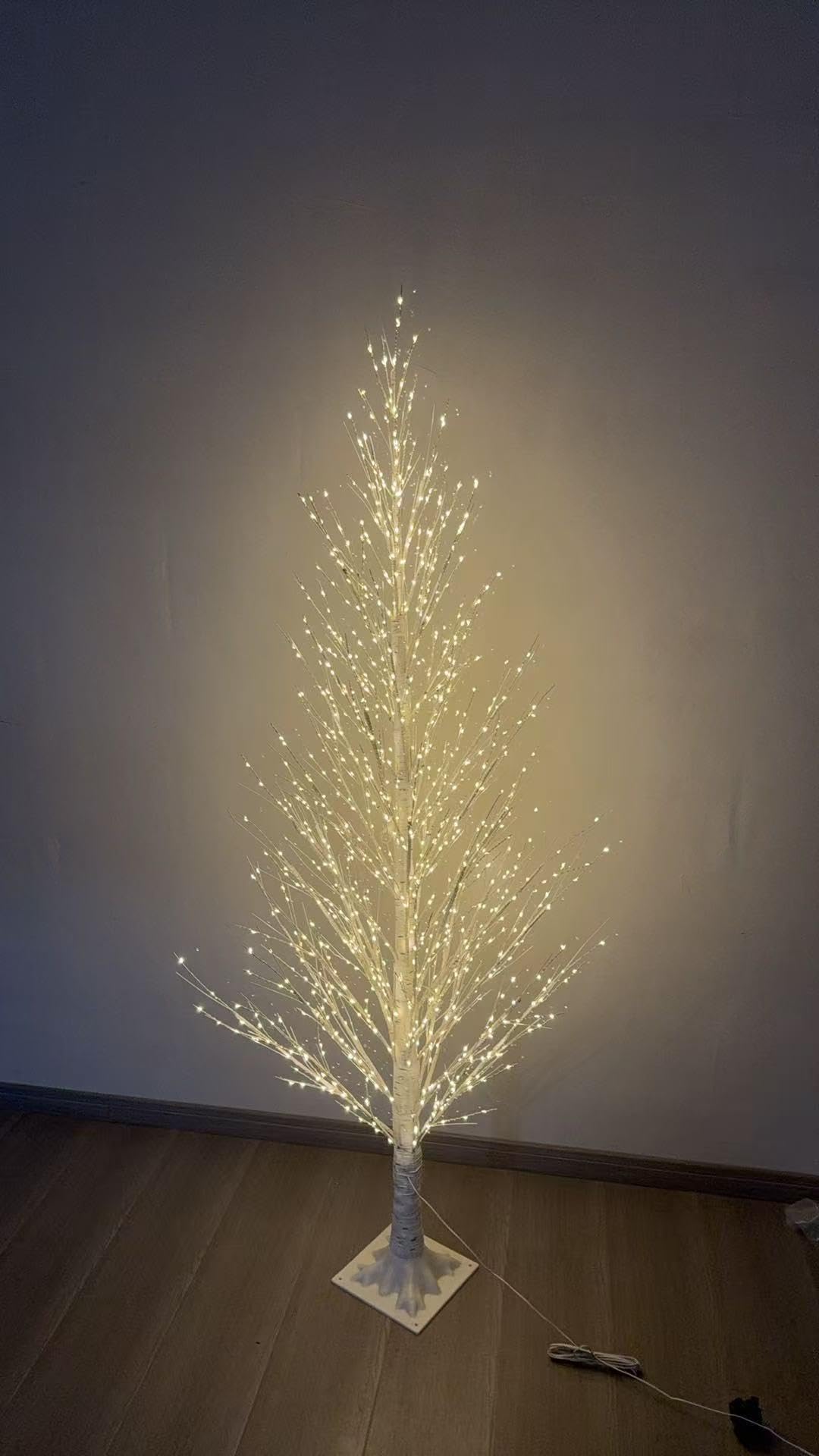 8 FT White Birch Tree Q309