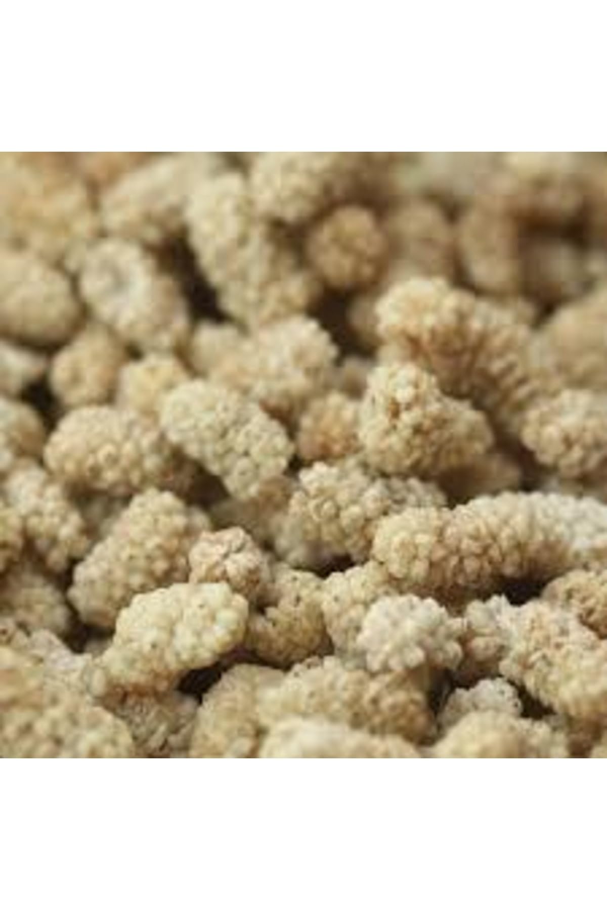 Dried White Mulberries 35.3 oz A56908