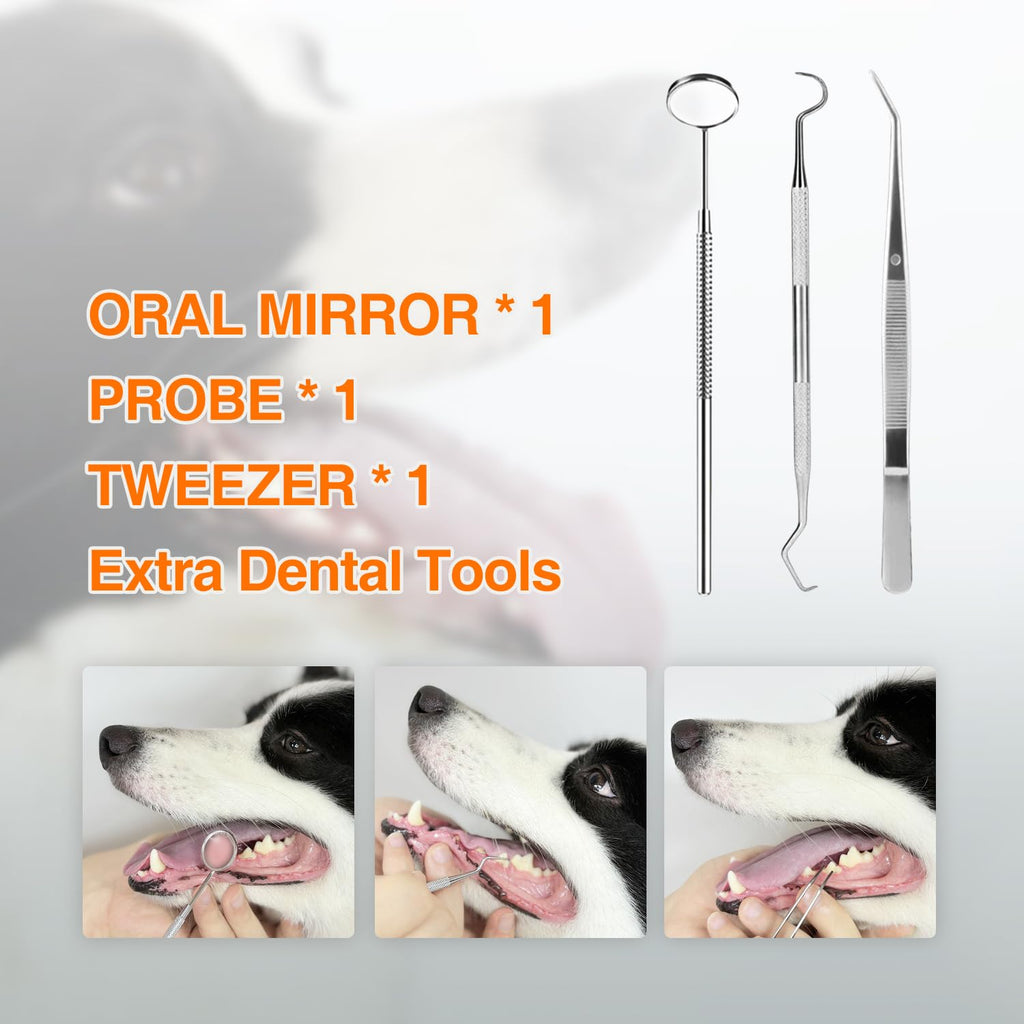 Ultrasonic Dog Plaque Remover with LED Light Y70627