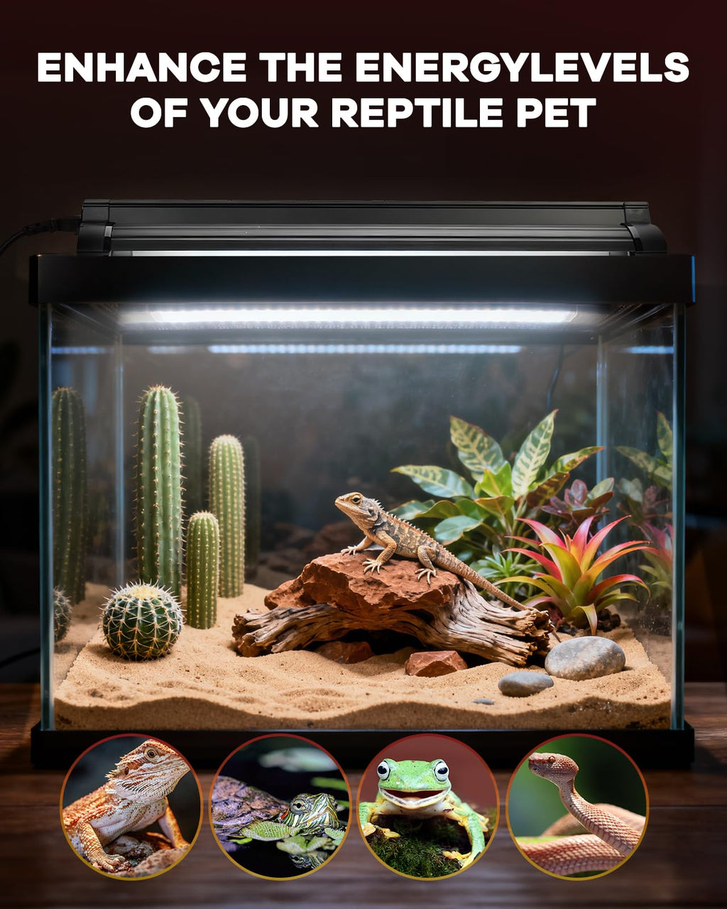 8W T5 UVB Reptile Light Fixture Combo Kit U1436
