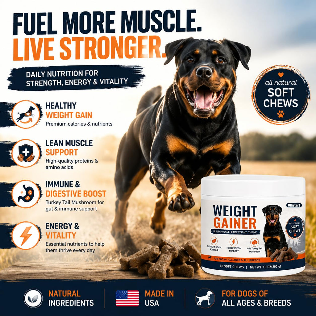 High Calorie Dog Weight Gainer Chews H753282