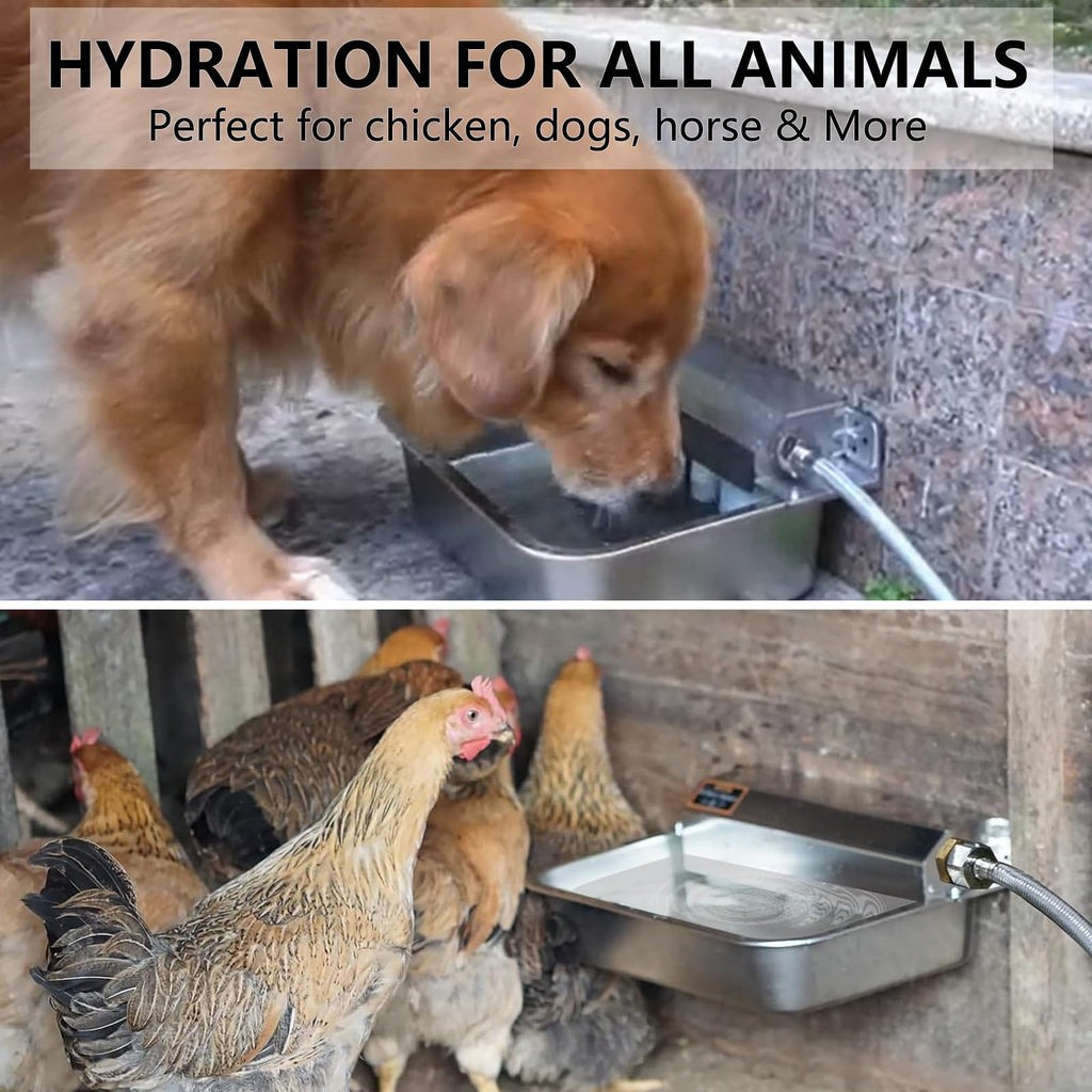 Large 304 Stainless Steel Automatic Chicken Water Dispenser C5186