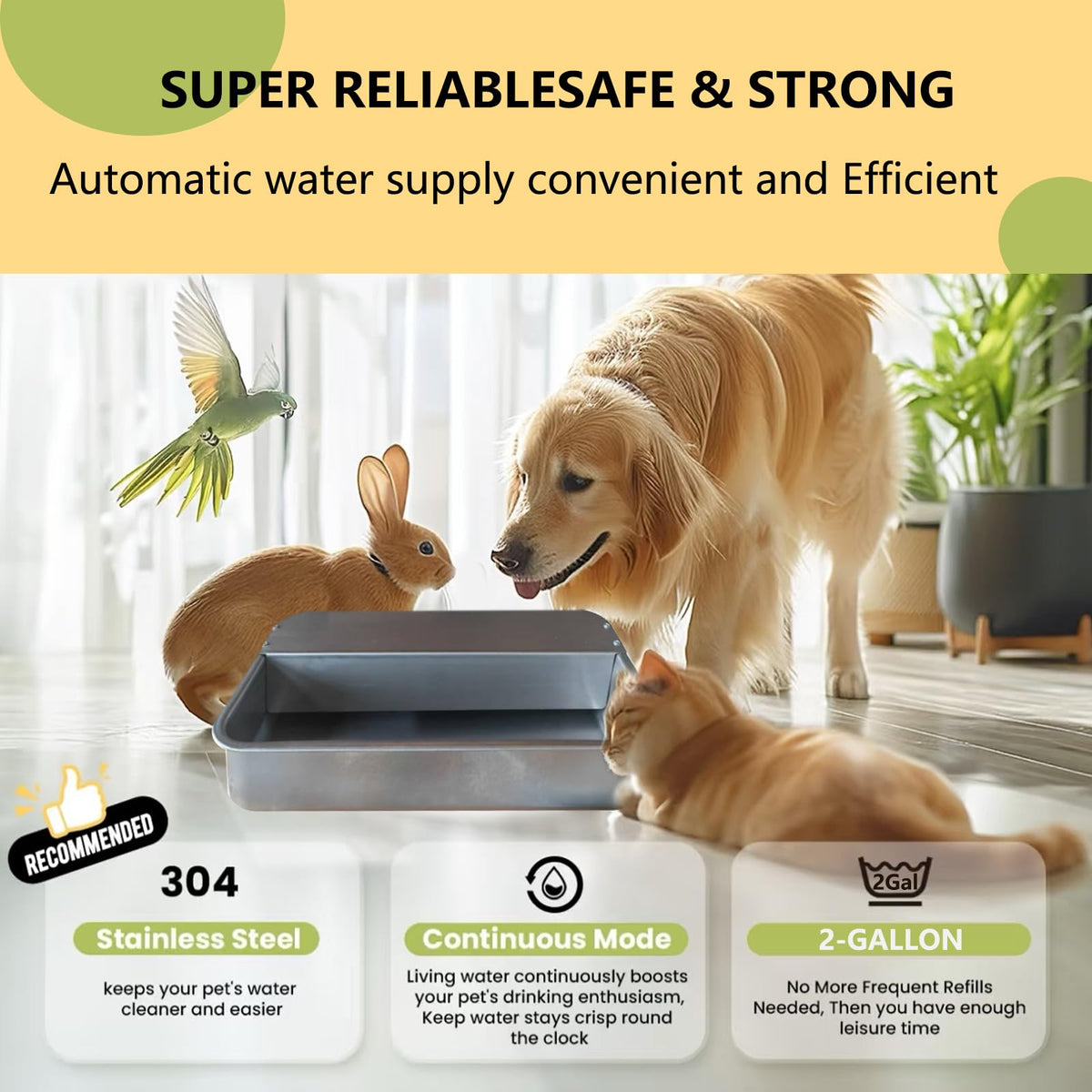 Large 304 Stainless Steel Automatic Chicken Water Dispenser C5186