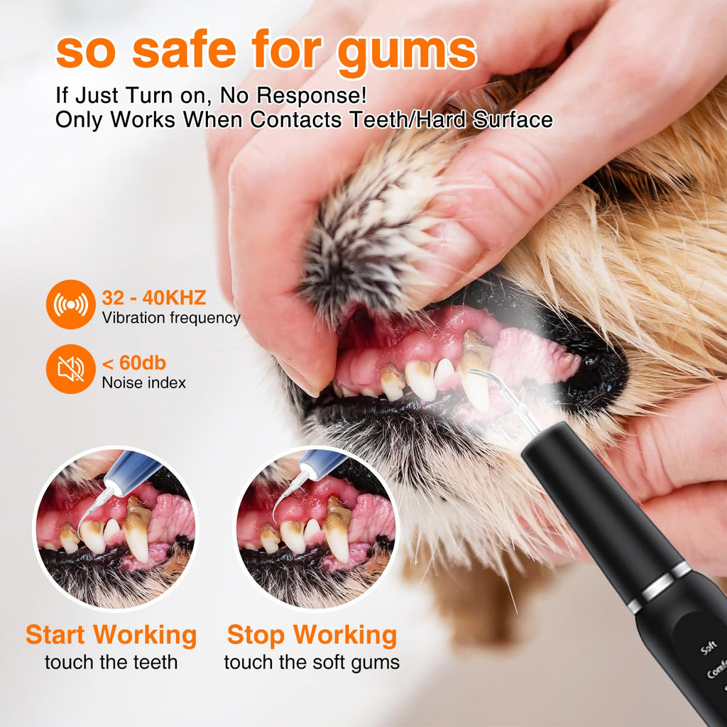 Ultrasonic Dog Plaque Remover with LED Light Y70627