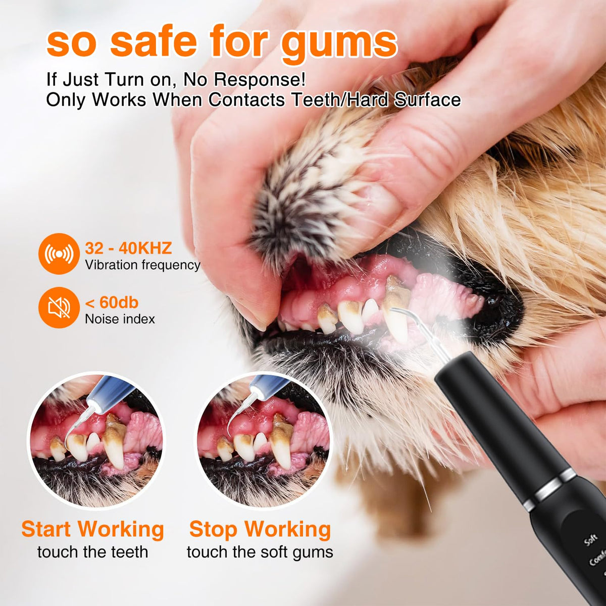 Ultrasonic Dog Plaque Remover with LED Light Y70627
