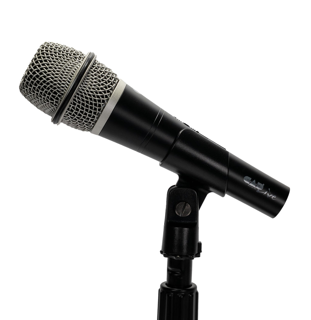 Handheld Dynamic Microphone N440374