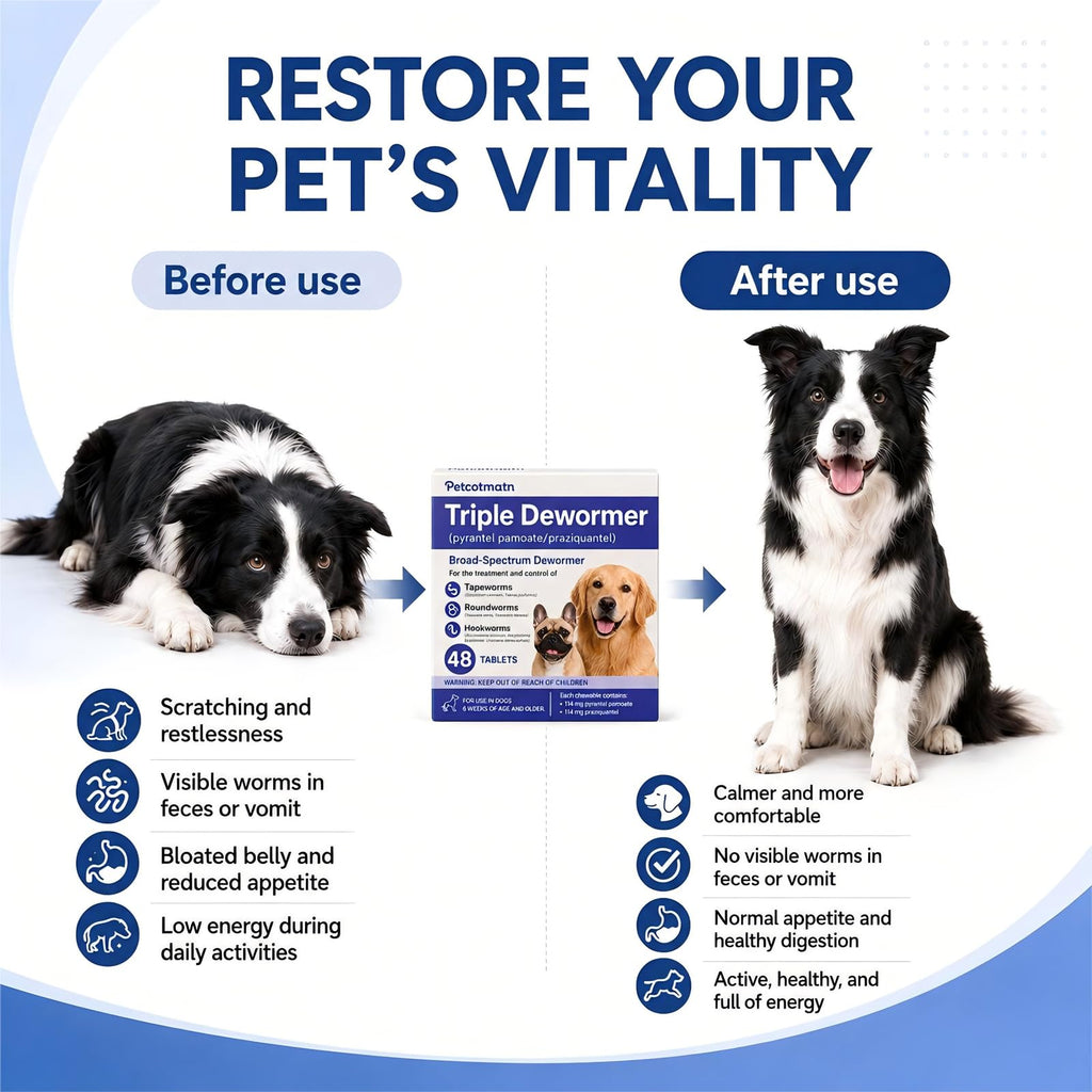 Dog Dewormer Tablets 48 Count J4246
