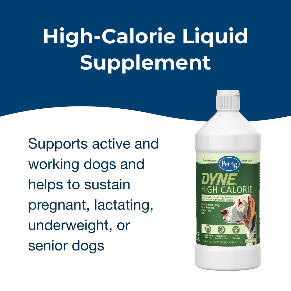 High Calorie Liquid Nutritional Supplement for Dogs & Puppies 16 oz O649