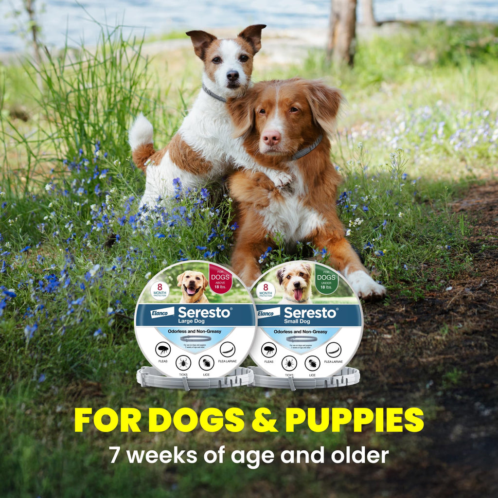 8-Month Flea & Tick Collar for Large Dogs Over 18 lbs F4111