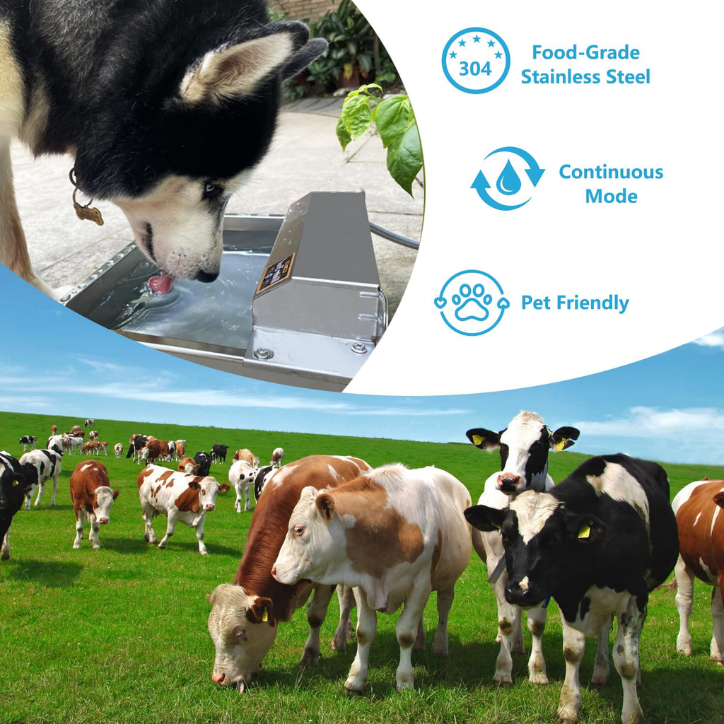 Large 304 Stainless Steel Automatic Chicken Water Dispenser C5186