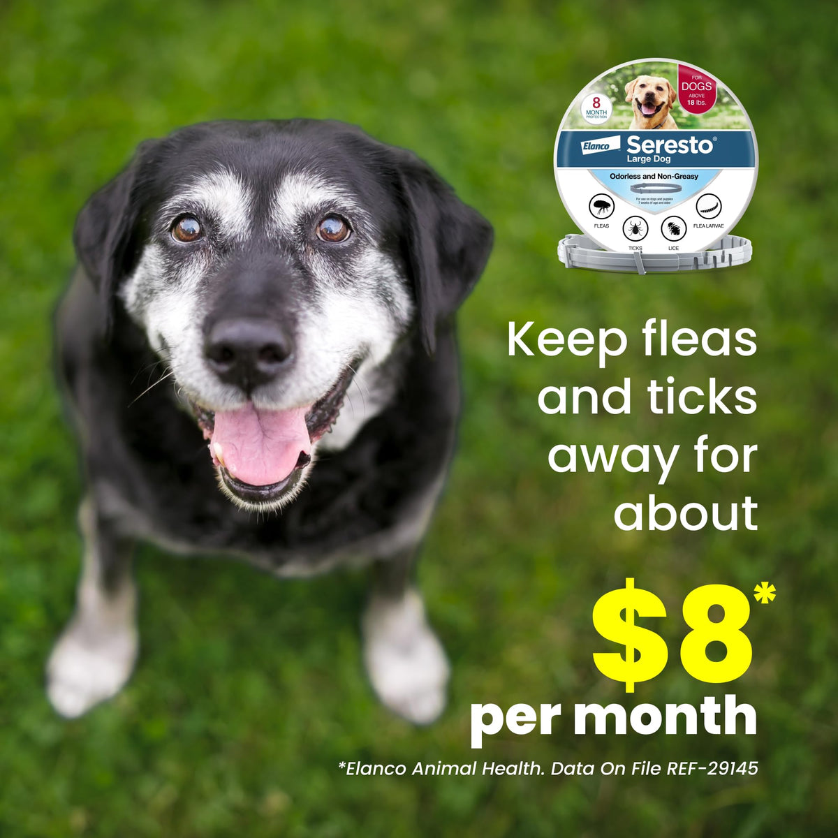 8-Month Flea & Tick Collar for Large Dogs Over 18 lbs F4111