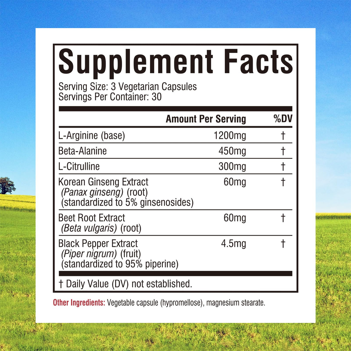 90 Vegan Capsules Nitric Oxide Booster Supplement U1540