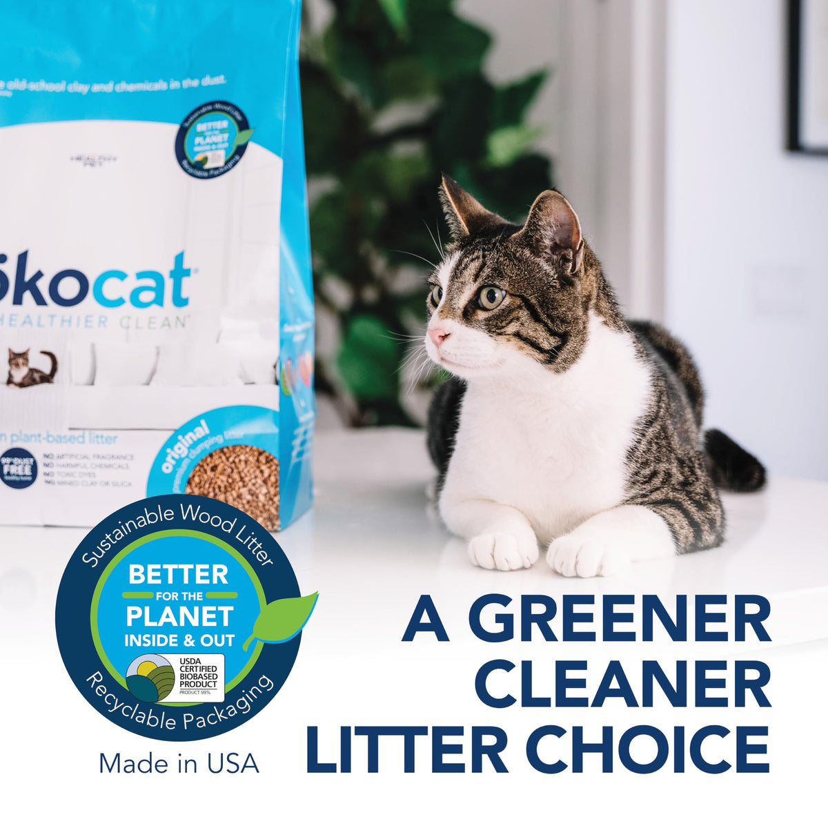 Unscented Wood Clumping Cat Litter 13.2 pounds M159774