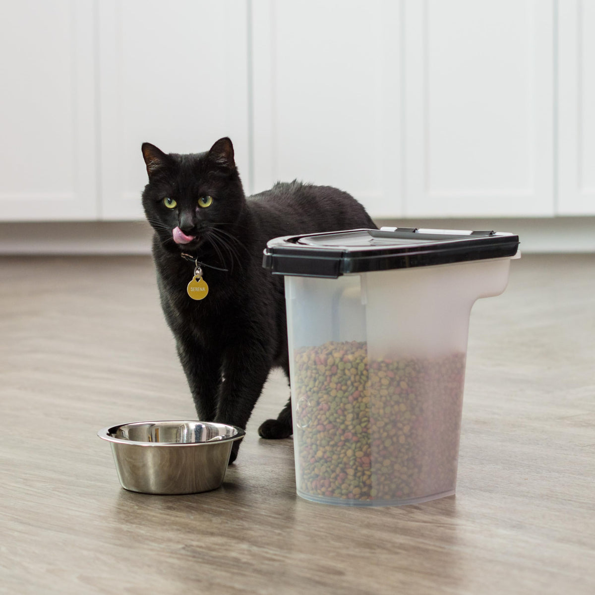 Black Dog Food Storage Container V338548
