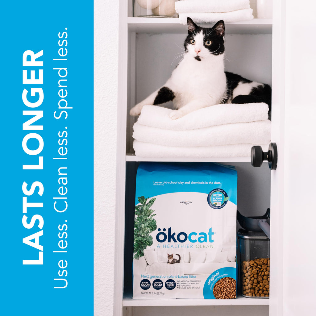 Unscented Wood Clumping Cat Litter 13.2 pounds M159774