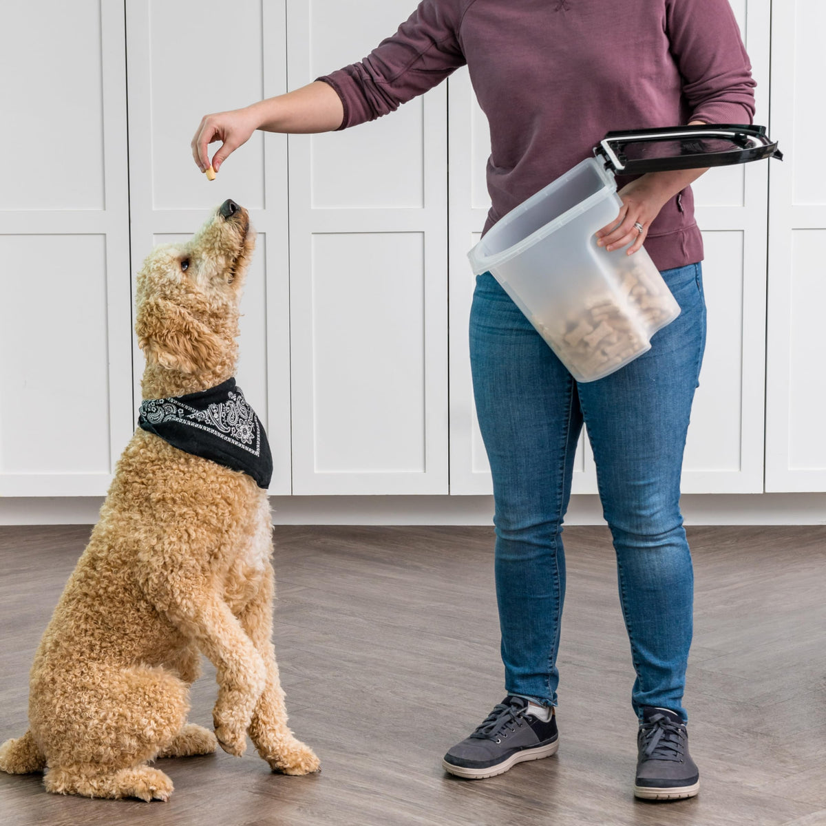 Black Dog Food Storage Container V338548