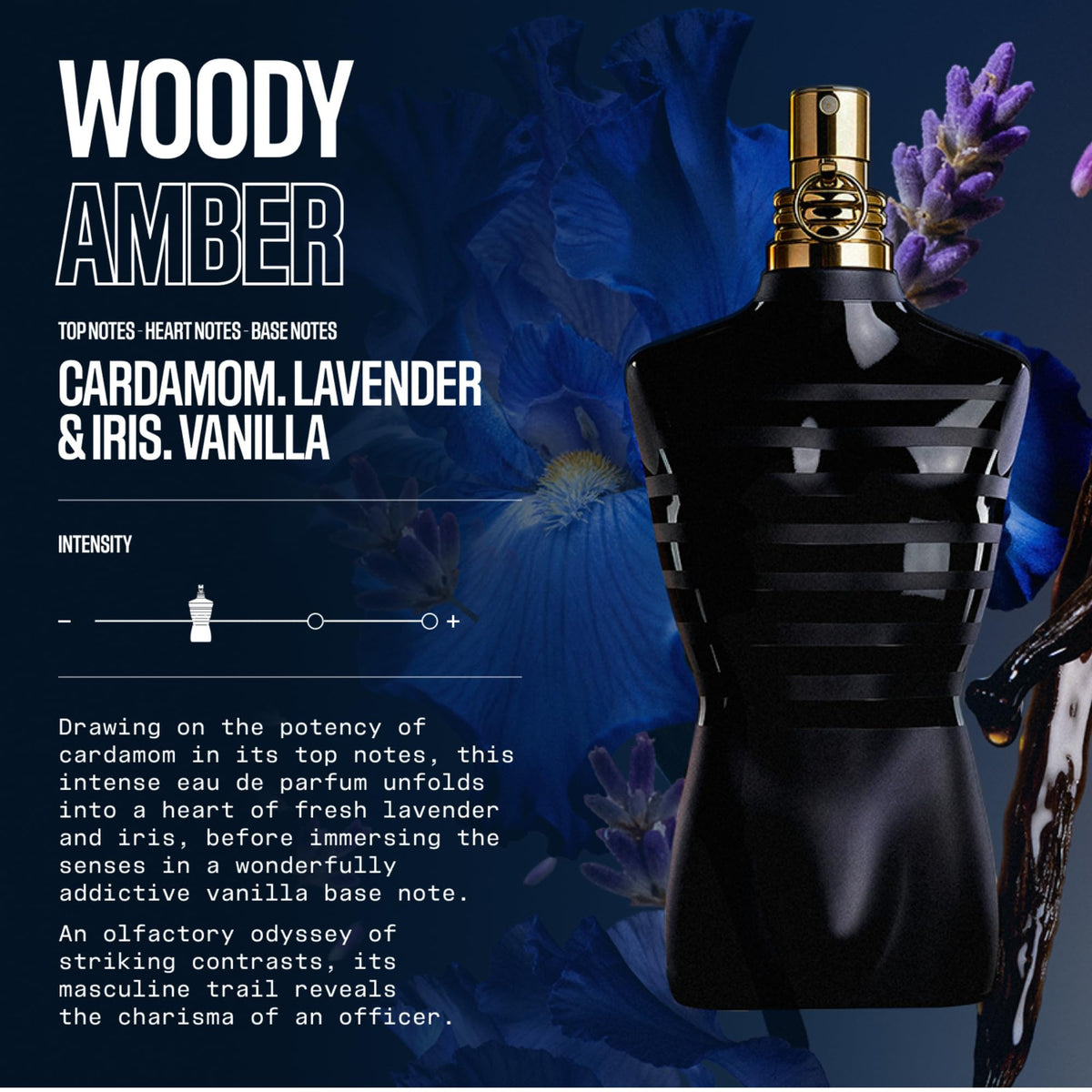 Le Male Le Parfum O523433