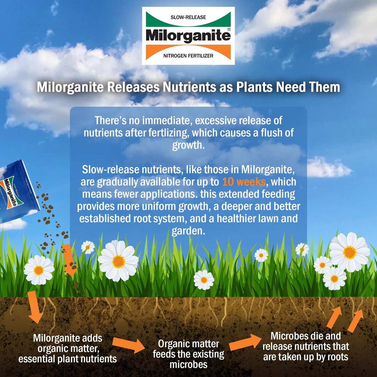 Slow-Release Nitrogen 6-4-0 Fertilizer, 5 Pound Bag (Pack of 4) I468518