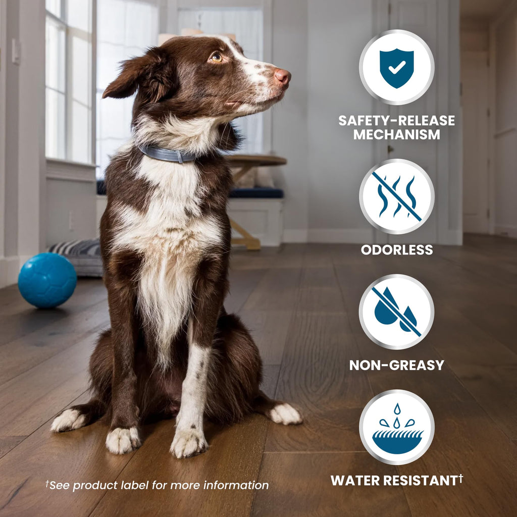 8-Month Flea & Tick Collar for Large Dogs Over 18 lbs F4111