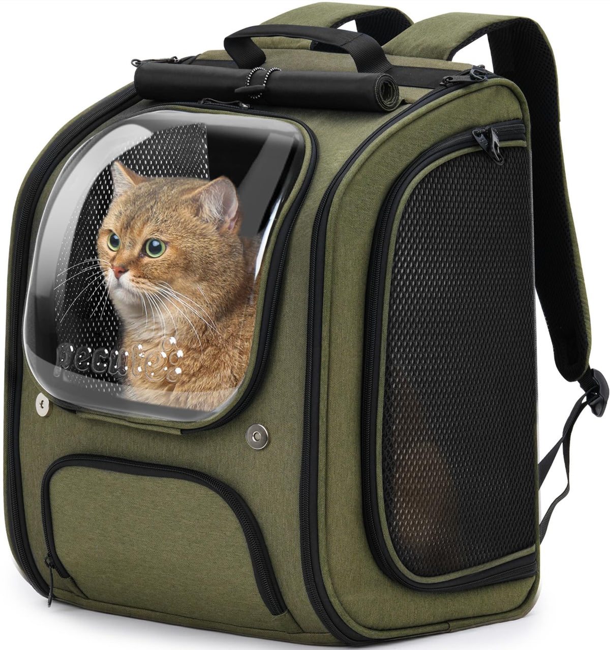 Green Cat Backpack Carrier L951