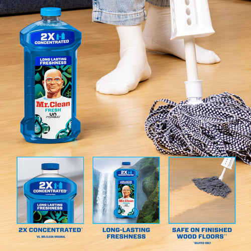 2X Concentrated Multi Surface Cleaner 41 fl oz D41452